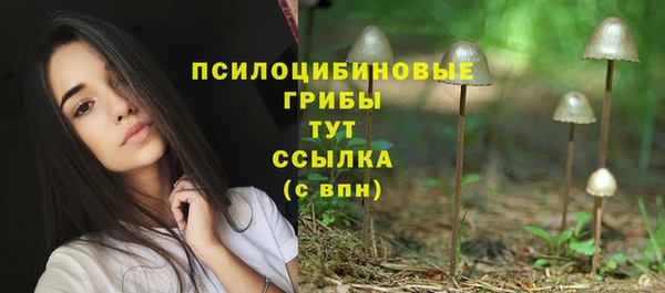 прущие крисы Абаза