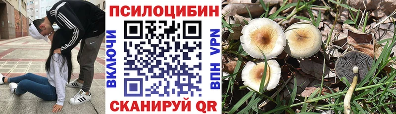 даркнет формула Болгар Псилоцибиновые грибы ЛСД где продают наркотики